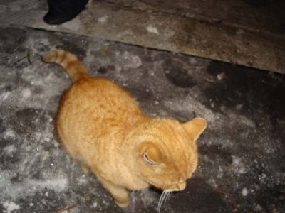 A teljes méretű képhez kattints ide