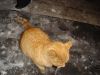DSC07064.JPG