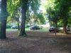 DSC05763.JPG